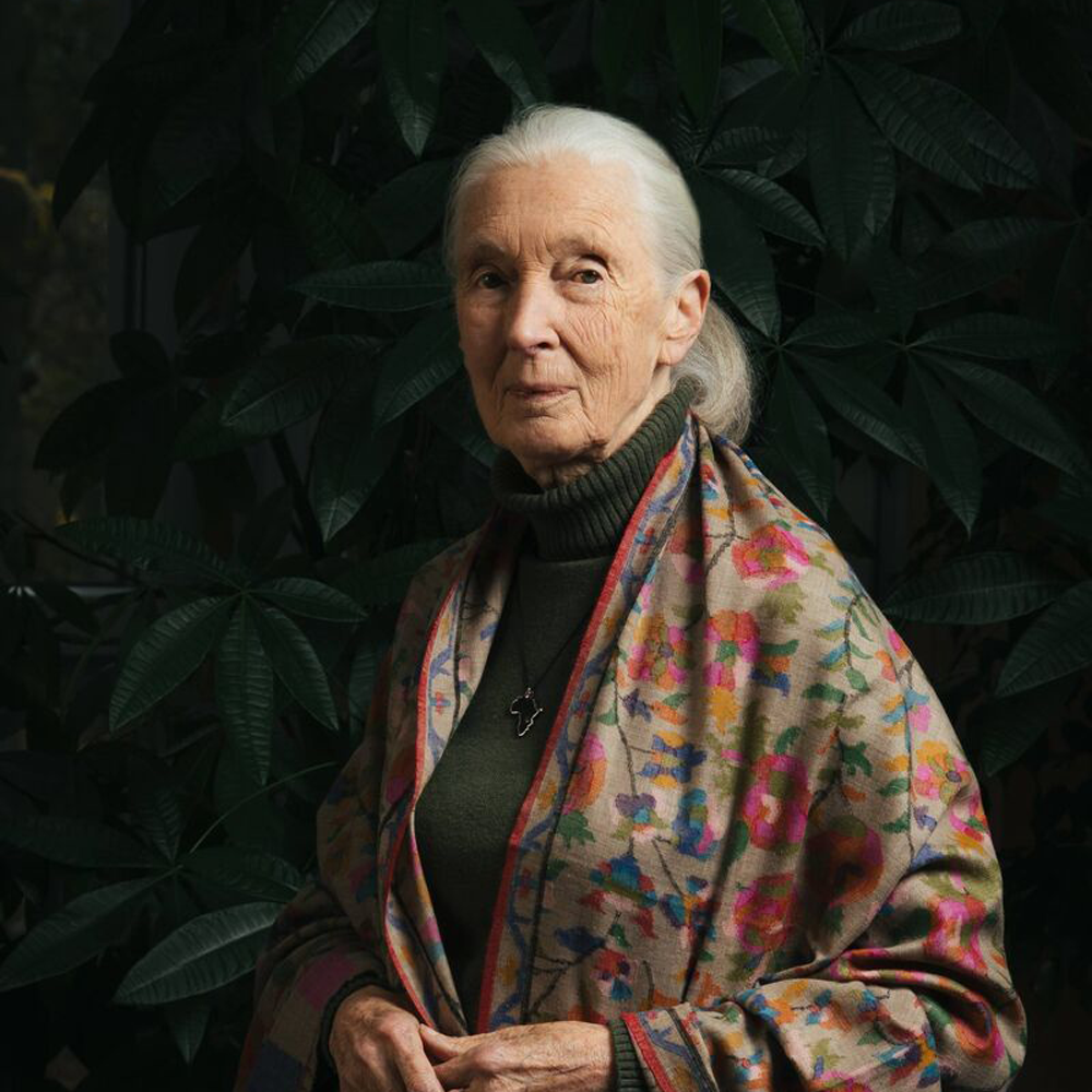 Jane Goodall 1934-2025